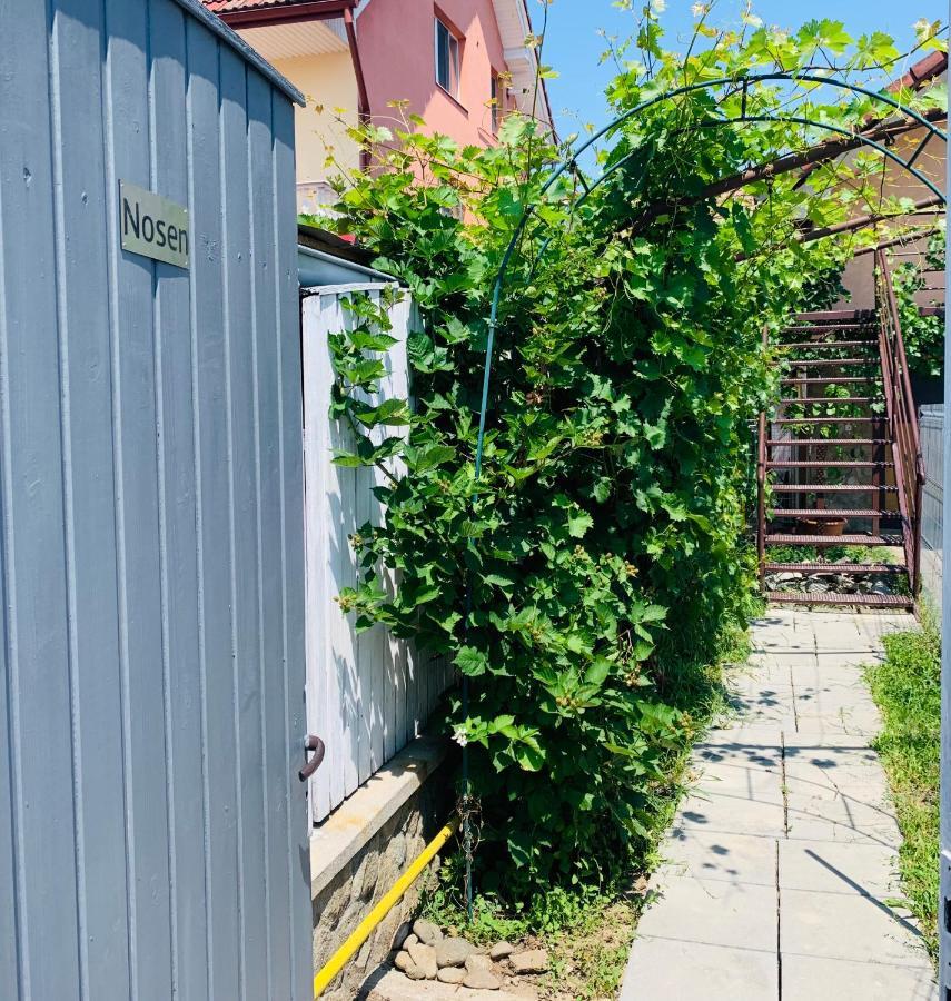Nosen Apartment Bistriţa Eksteriør billede